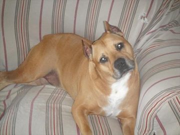 “NO RULES RIDERS 1ST YEAR ANNIVERSARY PARTY” ROBERTSDALE-C-  AL. 04-02-10 TIME: 4:00PM