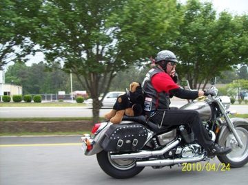 //Pickin` a winner !