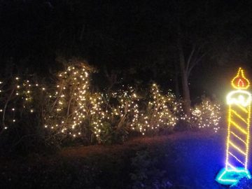 RAINZ AND HOT PEPPER SEENING THE LIGHTS! at Bellingrath Gardens in Theodore! on 12/22/2010