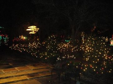RAINZ AND HOT PEPPER SEENING THE LIGHTS! at Bellingrath Gardens in Theodore! on 12/22/2010
