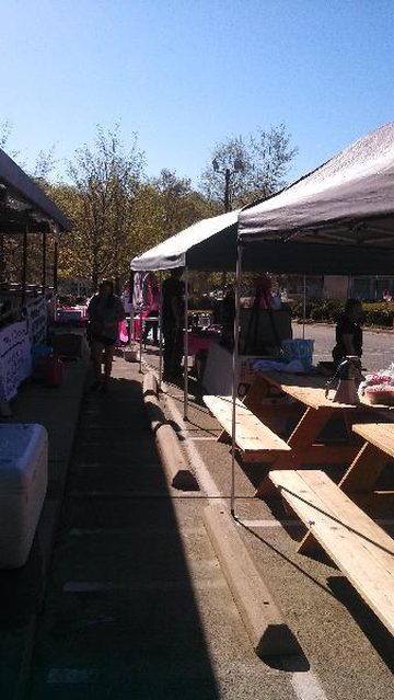 Pink Ribbon Ride 2013