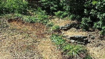 NRR Desperate Landscape 5/24/14