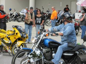 Butch -And- Chewy 2 MLR 2014