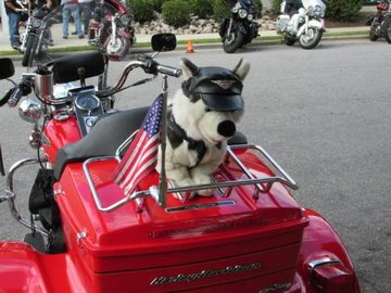 Butch -And- Chewy 2 MLR 2014