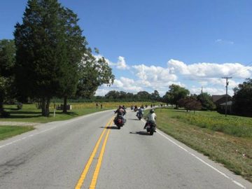 Butch -And- Chewy 2 MLR 2014