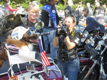 Butch -And- Chewy 2 MLR 2014