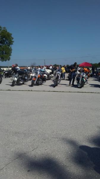 Hog For Dogs Springfield-C-Mo