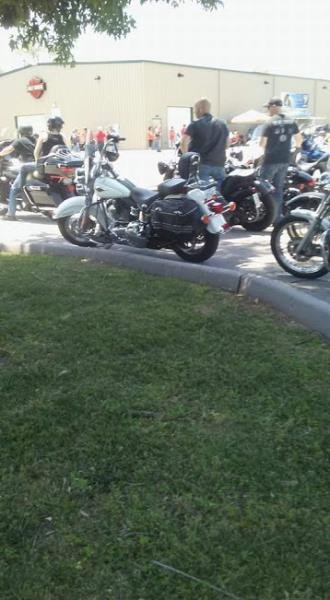 Hog For Dogs Springfield-C-Mo