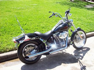 NRR Members Across The World